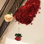 Апартаменты Re Lear Expo